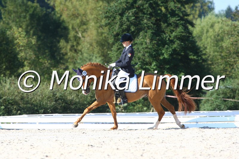 109M6480_Don Juan_Dressur L_Mannschaft.JPG